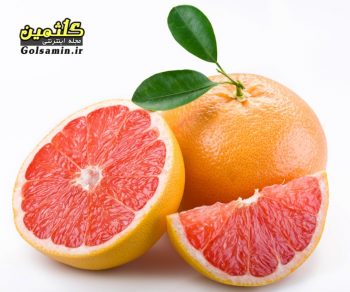 Grapefruit02