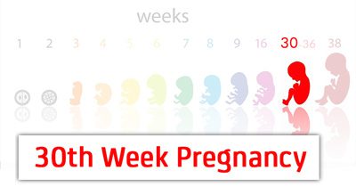 تغذیه در هفته سی‌ام بارداری