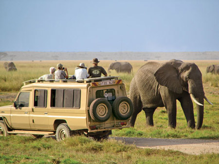 کنیا,کشور کنیا,پارک ملی ابردیر