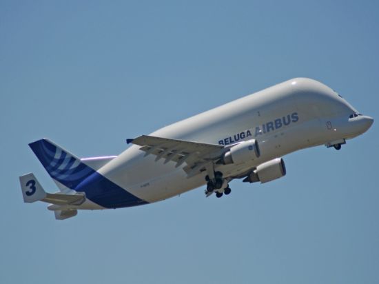 هواپیمایی جالب شبیه نهنگ سفید