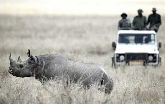 شکارچیان بی رحم در حیات وحش آفریقا