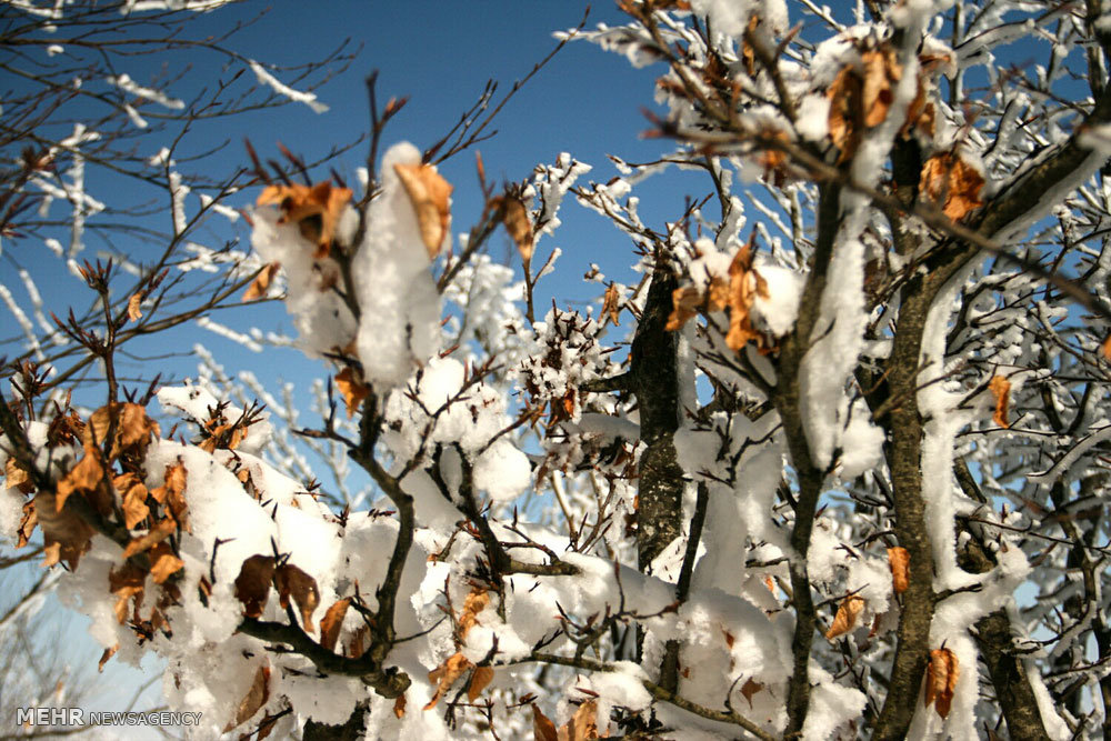 تصاویر طبیعت زمستانی اردبیل