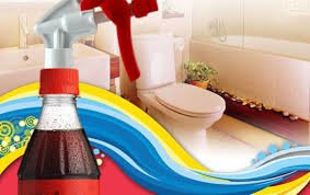 شوینده های طبیعی برای نظافت منزل
