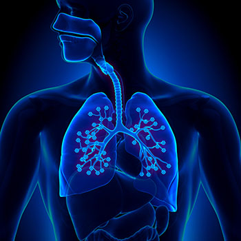 ساختار ریه و انواع بیماری های ریه