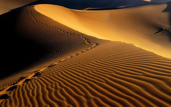 زیباترین صحراهای جهان را بشناسید