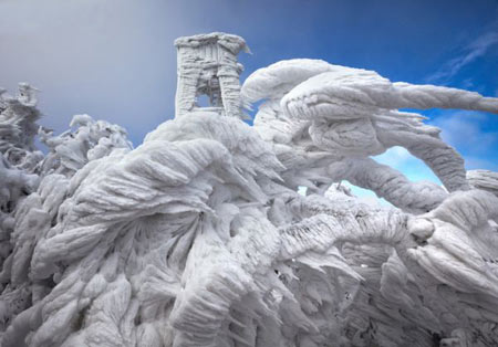 مجسمه های شگفت انگیز یخ زده (+عکس)