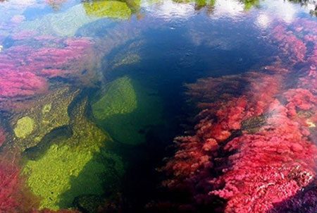 رودخانه رنگین کمان کانو کریستال، زیبا ترین رودخانه جهان