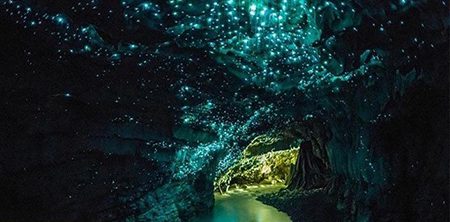 غارهای درخشان جاذبه گردشگری نیوزلند