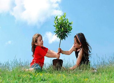 شناخت درخت و آموزش درختکاری