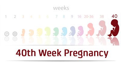 هفته چهل‌ام بارداری