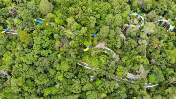 بلندترین سرسره آبی جهان در جنگل‌های مالزی