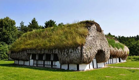 , خانه هایی جالب با سقفی از جلبک (+تصاویر)