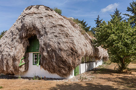 , خانه هایی جالب با سقفی از جلبک (+تصاویر)
