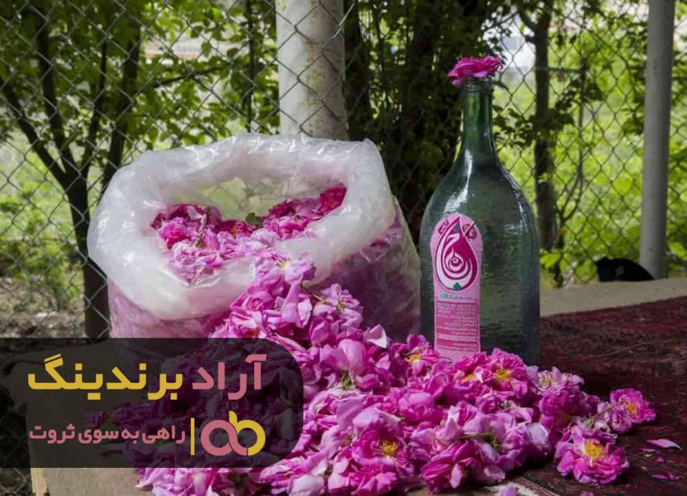 قیمت گلاب دو آتیشه شیراز